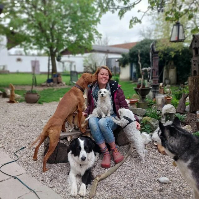 Eine Frau sitzt umgeben von Hunden im Garten des Tölentreffs